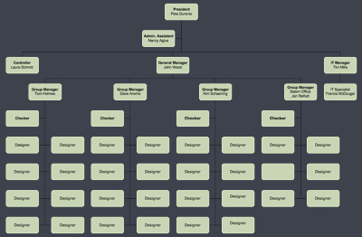 Bmw organizational structure type #1